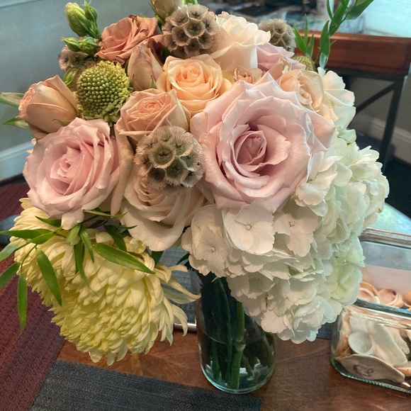 Meet your Posher, Lisa - Picture 1 of 1